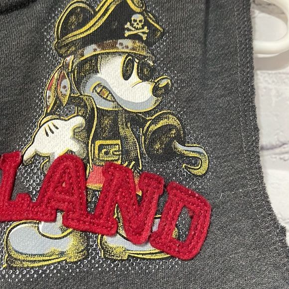 Unisex Gray Sleeveless Disneyland  Hoodie Medium - Picture 9 of 14